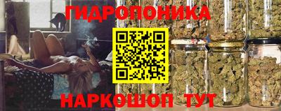 PSILOCYBIN Ипатово